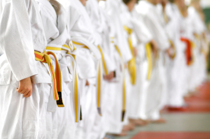 Martial Arts Insurance in Statesville, Hickory, Lenoir, NC
